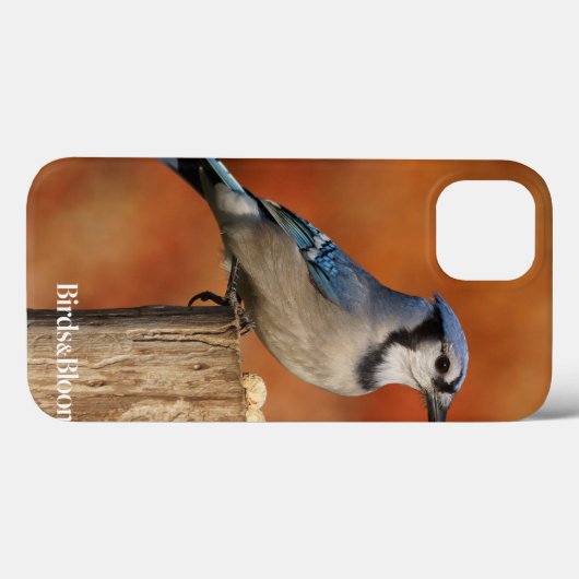 Blue Jay Case-Mate iPhone Case (Achterkant (horizontaal))