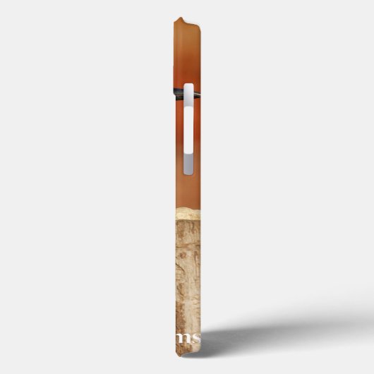 Blue Jay Case-Mate iPhone Case (Achterkant / Links)