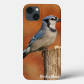 Blue Jay Case-Mate iPhone Case (Achterkant)