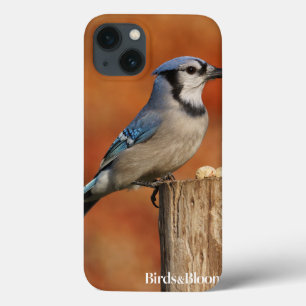 Blue Jay Case-Mate iPhone Case