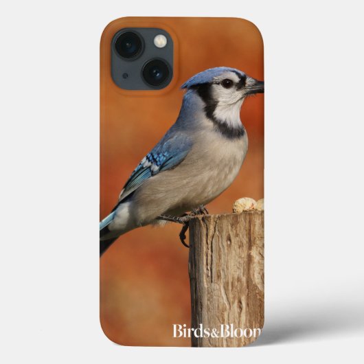 Blue Jay Case-Mate iPhone Case (Achterkant)