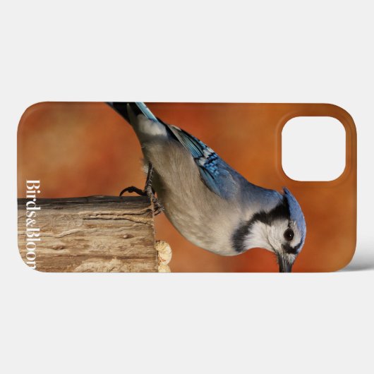Blue Jay Case-Mate iPhone Case (Achterkant (horizontaal))