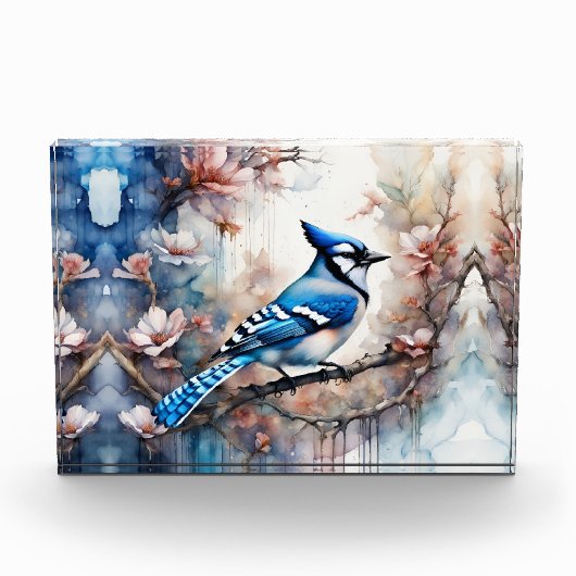 Blue Jay Cherry Blossoms waterverf Fotoblokken (Voorkant)