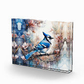 Blue Jay Cherry Blossoms waterverf Fotoblokken (Rechts)