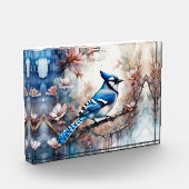 Blue Jay Cherry Blossoms waterverf Fotoblokken (Links)