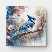 Blue Jay Cherry Blossoms waterverf Fotoplaat (Voorkant)
