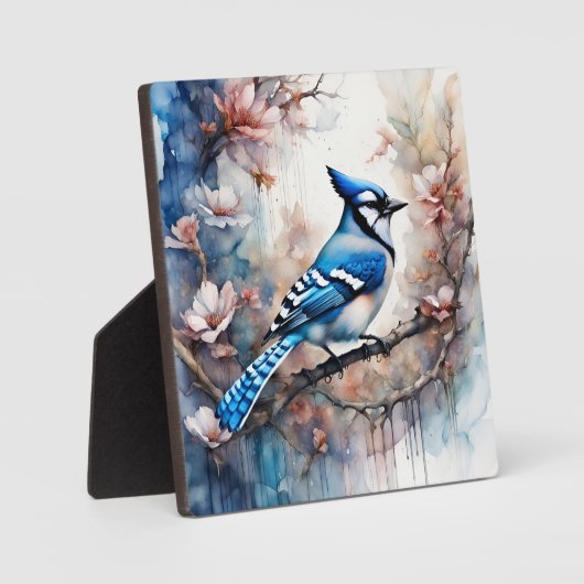 Blue Jay Cherry Blossoms waterverf Fotoplaat (Voorkant)