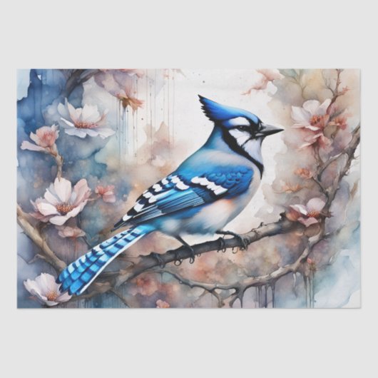 Blue Jay Cherry Blossoms waterverf Tissuepapier (Voorkant)