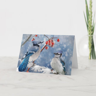 Blue Jay Christmas Feestdagen Kaart