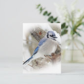 Blue Jay Cyanocitta cristata Briefkaart (Staand voorkant)