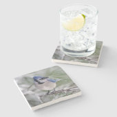 Blue Jay, Cyanocitta cristata Stenen Onderzetter (Zijkant)