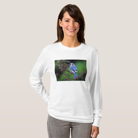 Blue Jay, Cyaoncitta cristata T-shirt (Voorkant volledig)