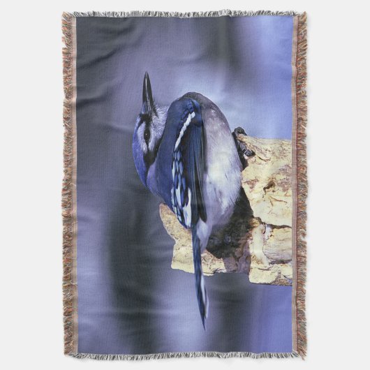Blue Jay Deken (Voorkant Verticaal)