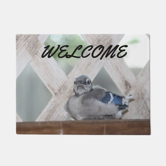 Blue Jay Doormat Deurmat (Voorkant)