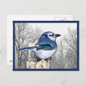 Blue Jay Drawing Briefkaart (Voorkant / Achterkant)
