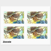 Blue Jay en Eekhoorn Rechthoekige Sticker (Vel)