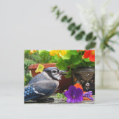 Blue Jay en Flowers Briefkaart (Staand voorkant)