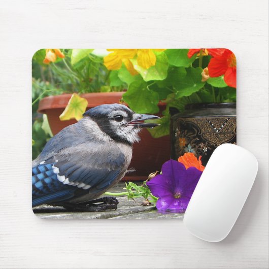 Blue Jay en Flowers Muismat (Met muis)