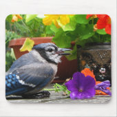 Blue Jay en Flowers Muismat (Voorkant)