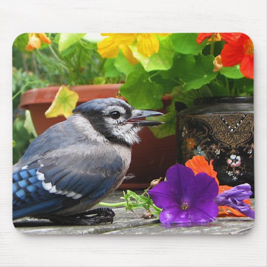Blue Jay en Flowers Muismat (Voorkant)