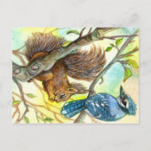 Blue Jay en Squirrel Briefkaart (Voorkant)
