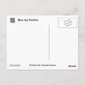 Blue Jay Feather Coördinating Items Briefkaart (Achterkant)