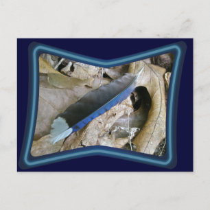 Blue Jay Feather Coördinating Items Briefkaart