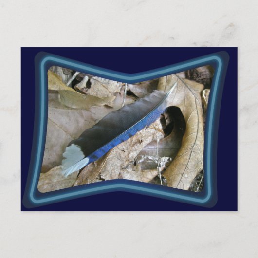 Blue Jay Feather Coördinating Items Briefkaart (Voorkant)