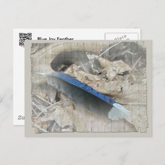 Blue Jay Feather Coördinating Items Briefkaart (Voorkant / Achterkant)
