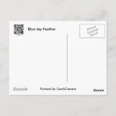 Blue Jay Feather Coördinating Items Briefkaart (Achterkant)