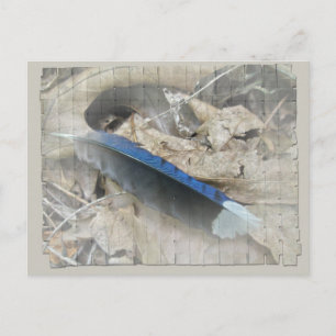 Blue Jay Feather Coördinating Items Briefkaart