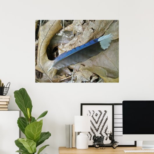 Blue Jay Feather Coördinating Items Poster (Thuiskantoor)