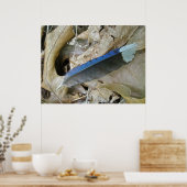 Blue Jay Feather Coördinating Items Poster (Keuken)