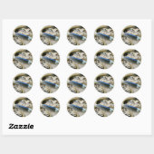 Blue Jay Feather Coördinating Items Ronde Sticker (Vel)