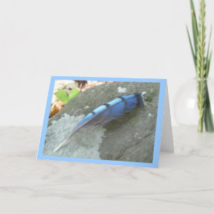 Blue Jay Feather Note Card Kaart