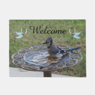 Blue Jay Feathers Spiegeland Welkom Deurmat