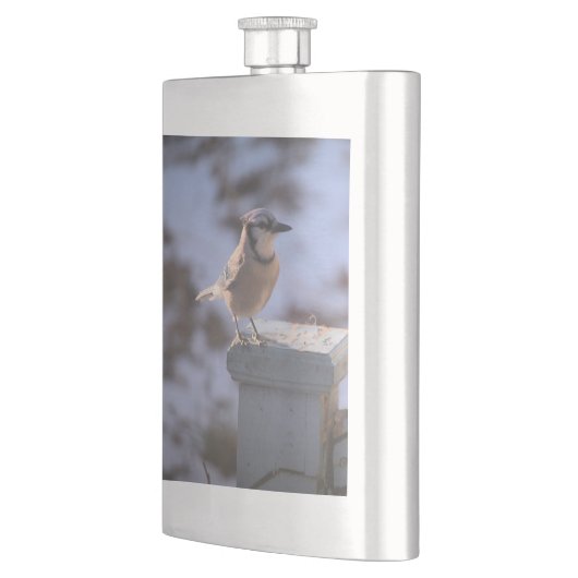 Blue Jay Flacon (Links)