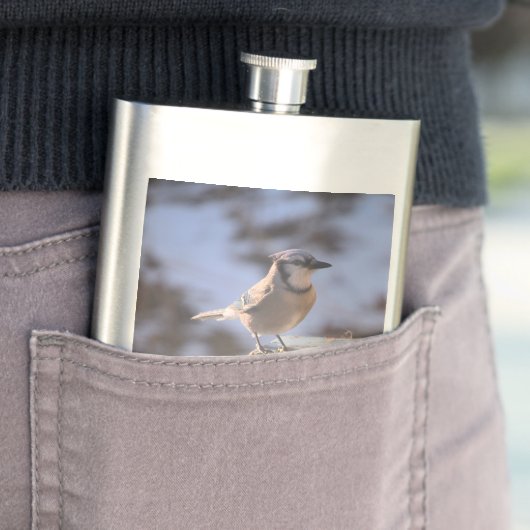 Blue Jay Flacon (Voorbeeld)