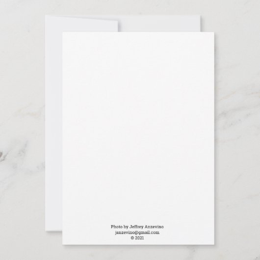 Blue Jay Flat Kaart (Achterkant)