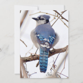 Blue Jay Flat Kaart