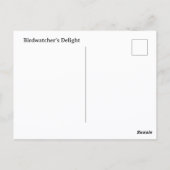 Blue Jay fotografische Natuur  Briefkaart (Achterkant)