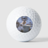 Blue Jay Golfballen (Voorkant)