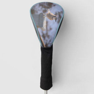 Blue Jay Golfheadcover