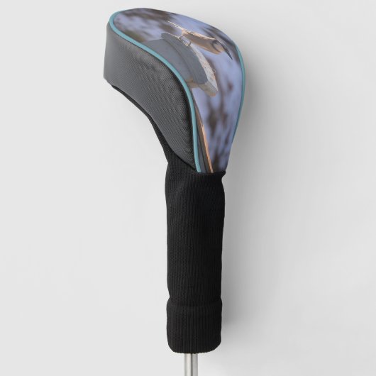Blue Jay Golfheadcover (Schuin)