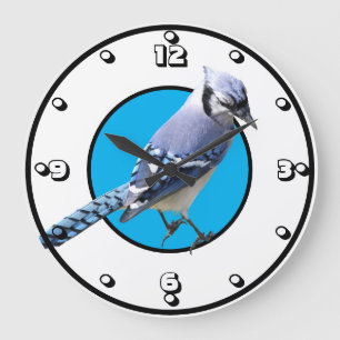 Blue Jay Grote Klok