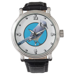 Blue Jay Horloge