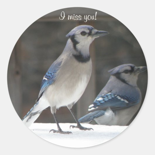 Blue Jay: Ik Miss You Sticker (Voorkant)