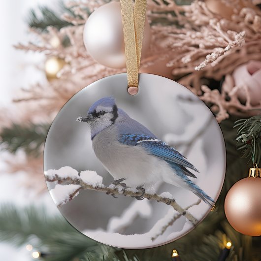 Blue Jay in Algonquin Park Keramisch Ornament
