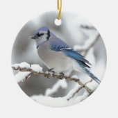 Blue Jay in Algonquin Park Keramisch Ornament (Voorkant)