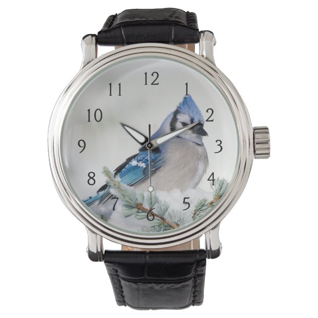 Blue Jay in Blue Atlas Cedar Horloge (Voorkant)